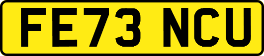 FE73NCU