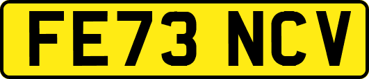 FE73NCV