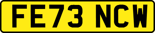 FE73NCW