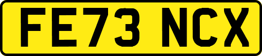 FE73NCX