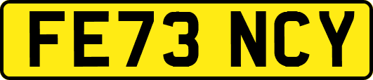 FE73NCY