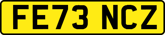 FE73NCZ