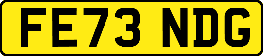 FE73NDG