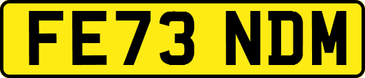 FE73NDM