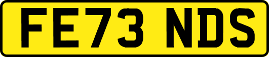 FE73NDS