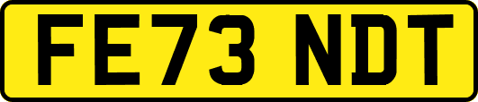 FE73NDT