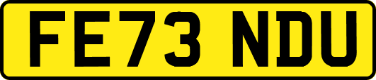 FE73NDU