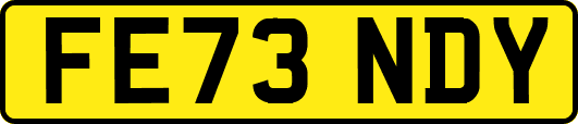 FE73NDY