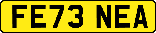 FE73NEA