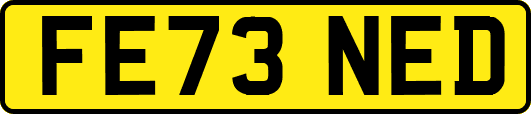 FE73NED