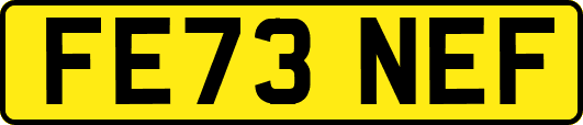 FE73NEF
