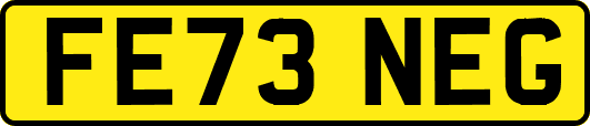 FE73NEG