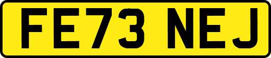 FE73NEJ