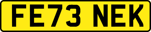 FE73NEK