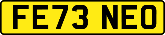 FE73NEO