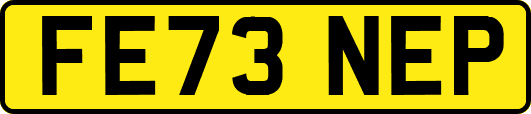 FE73NEP