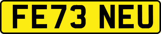 FE73NEU