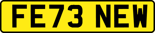 FE73NEW