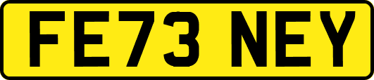 FE73NEY
