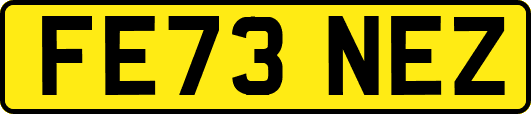 FE73NEZ