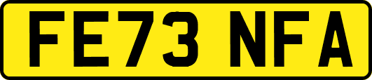 FE73NFA