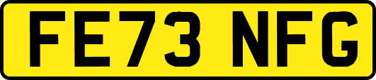 FE73NFG