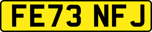 FE73NFJ