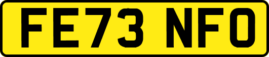 FE73NFO