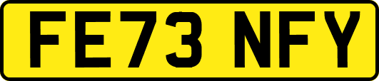 FE73NFY