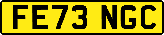 FE73NGC