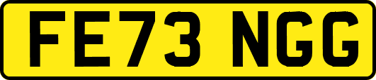 FE73NGG