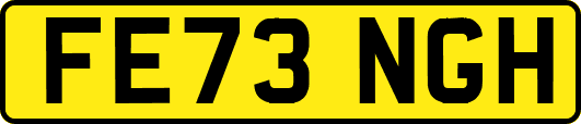FE73NGH