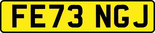 FE73NGJ