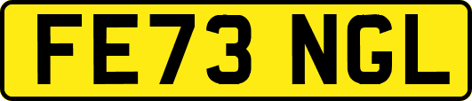 FE73NGL