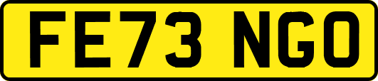 FE73NGO
