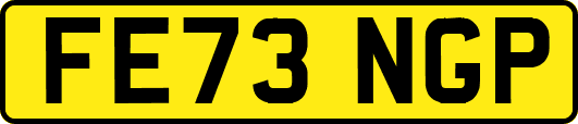 FE73NGP