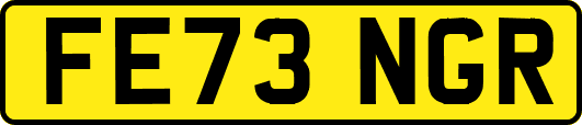 FE73NGR
