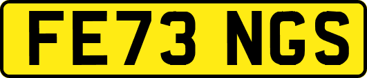 FE73NGS