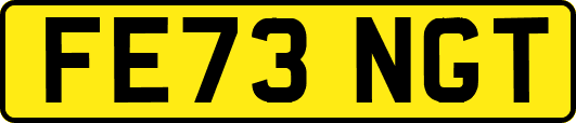 FE73NGT