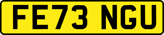 FE73NGU