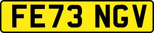 FE73NGV