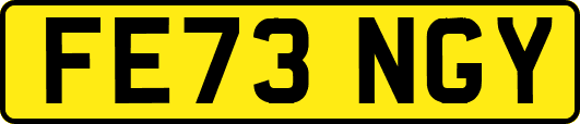 FE73NGY