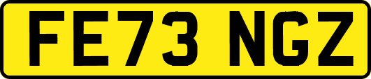 FE73NGZ