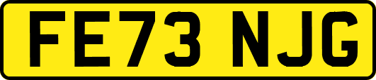 FE73NJG