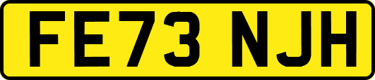 FE73NJH