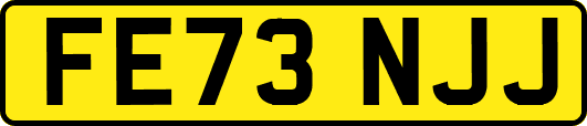 FE73NJJ