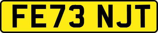 FE73NJT