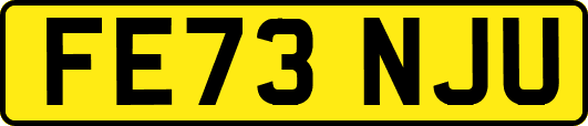 FE73NJU