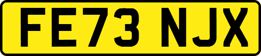 FE73NJX