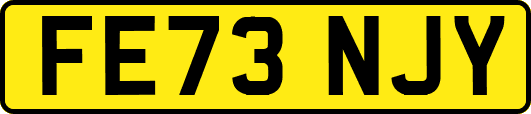 FE73NJY